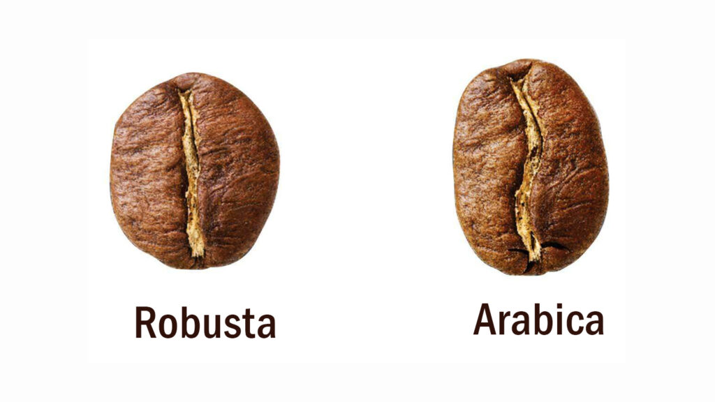 Arabica ve Robusta