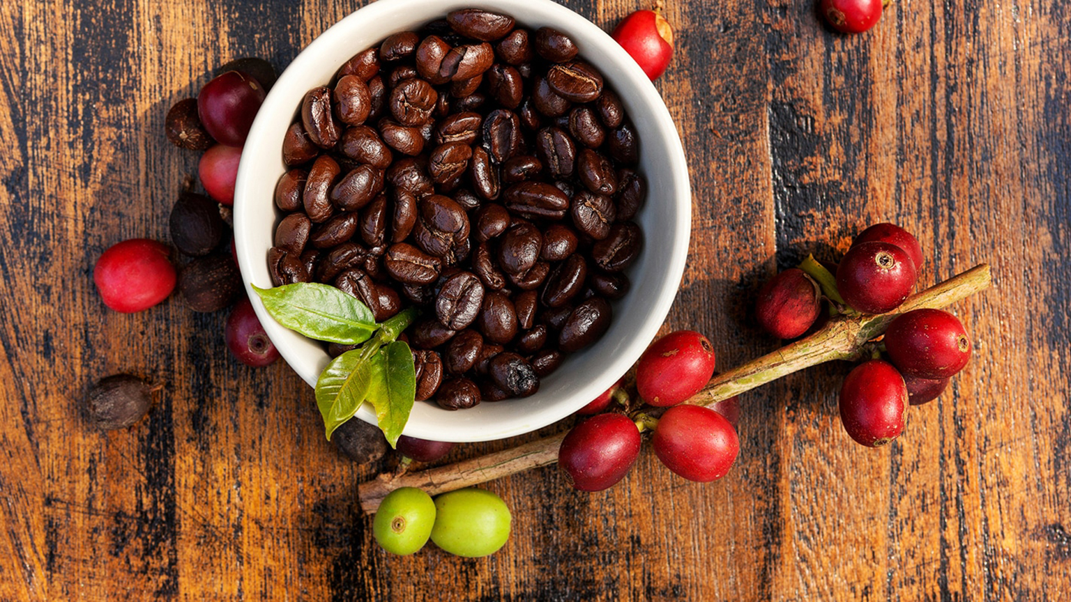 Кофе это фрукт. Кофейное дерево. Кофейная ягода. Плоды кофейного дерева. Кофейный плод.