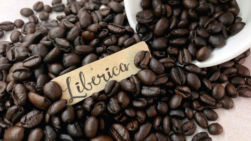 Liberica Kahve Nedir?