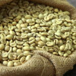 Can You Eat Raw Coffee Beans?