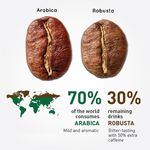 arabica and robusta arabica and robusta