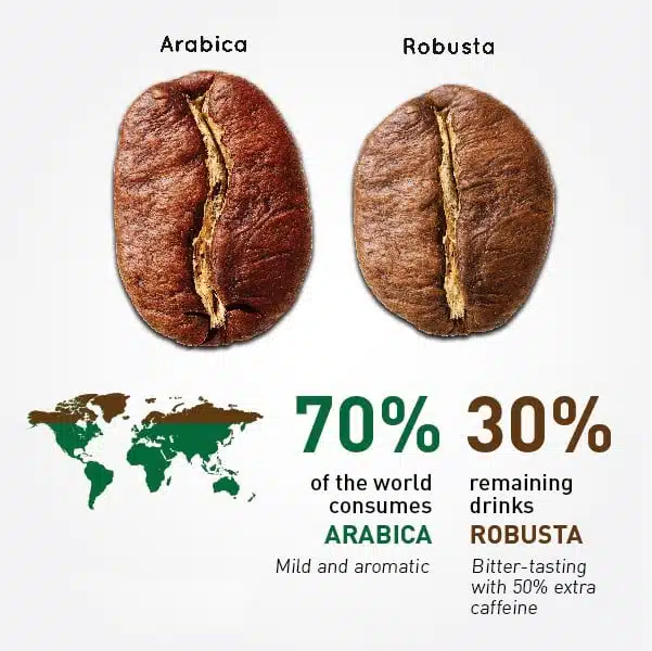 arabica and robusta