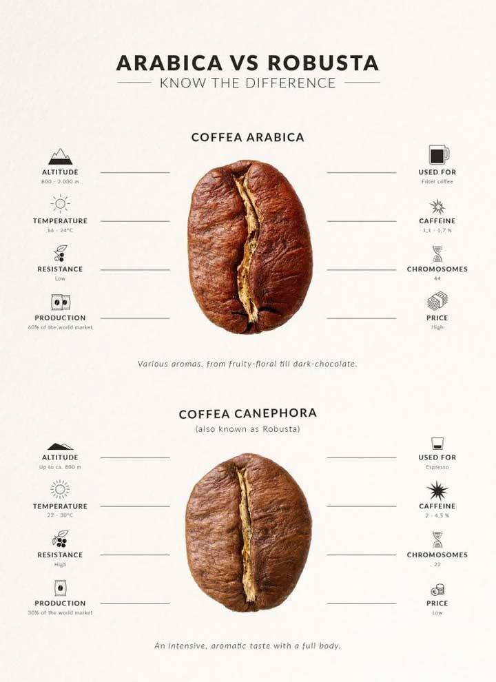 Arabica and Robusta