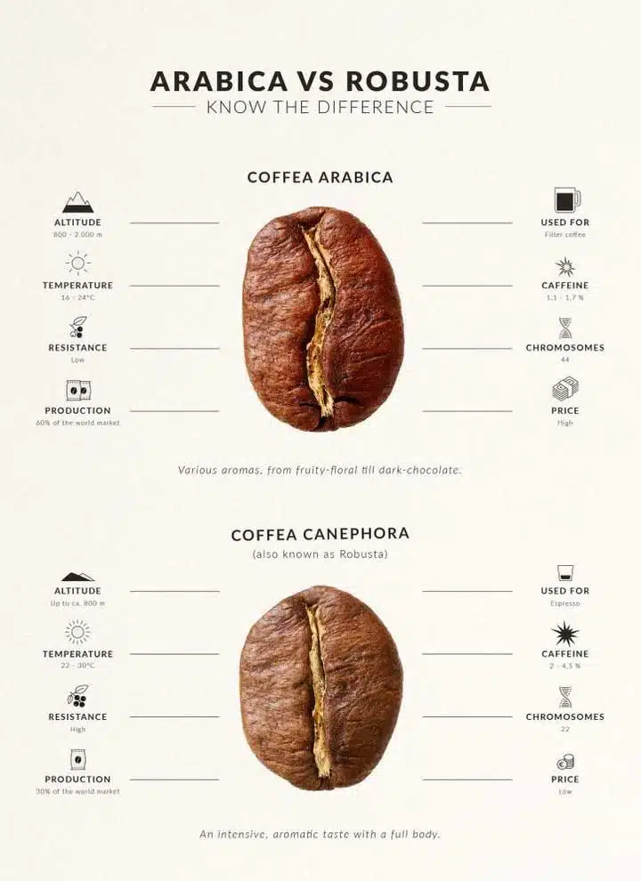 Arabica and Robusta