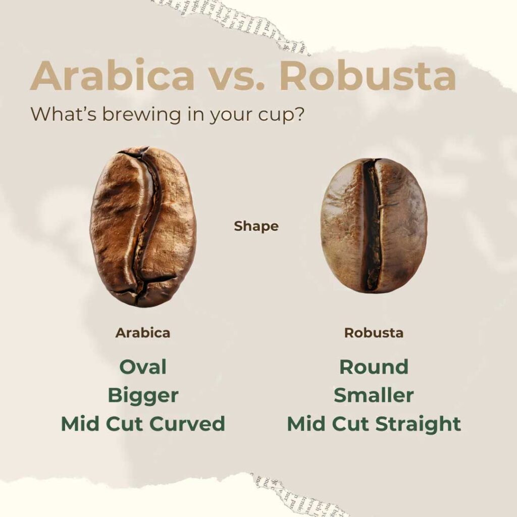 Arabica and Robusta