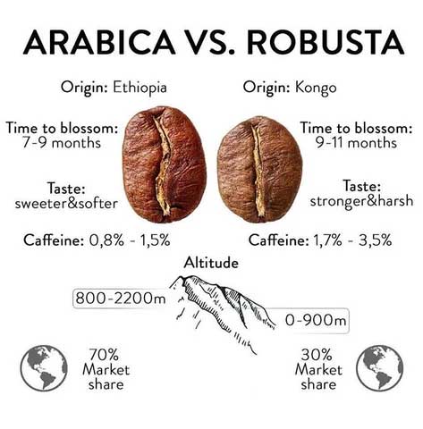 Arabica and Robusta