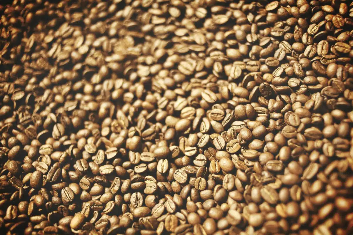 grinding coffee beans