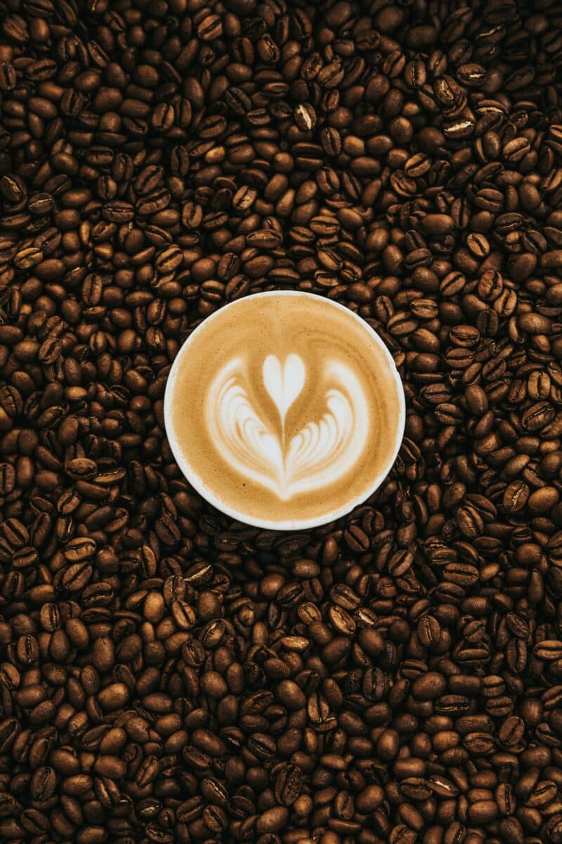 cappuccino cappuccino