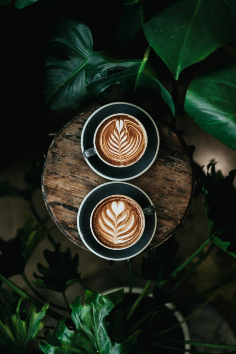 cappuccino cappuccino