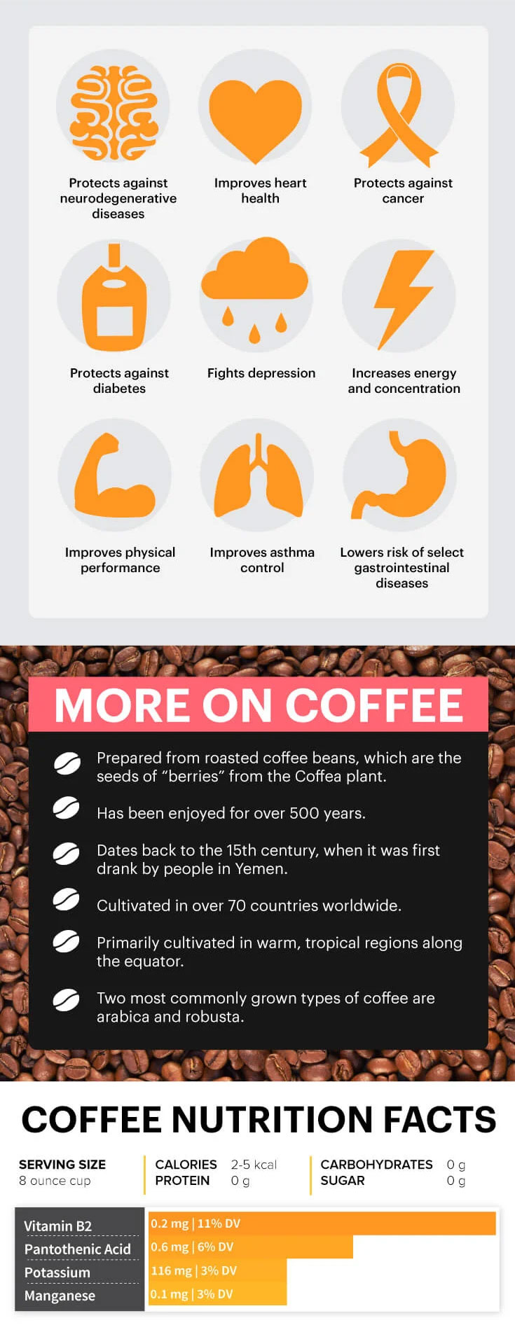Coffee in Nutrition and Its Effects