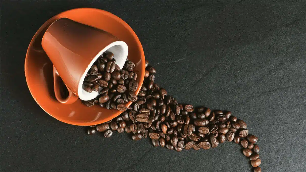 Coffee in Nutrition and Its Effects
