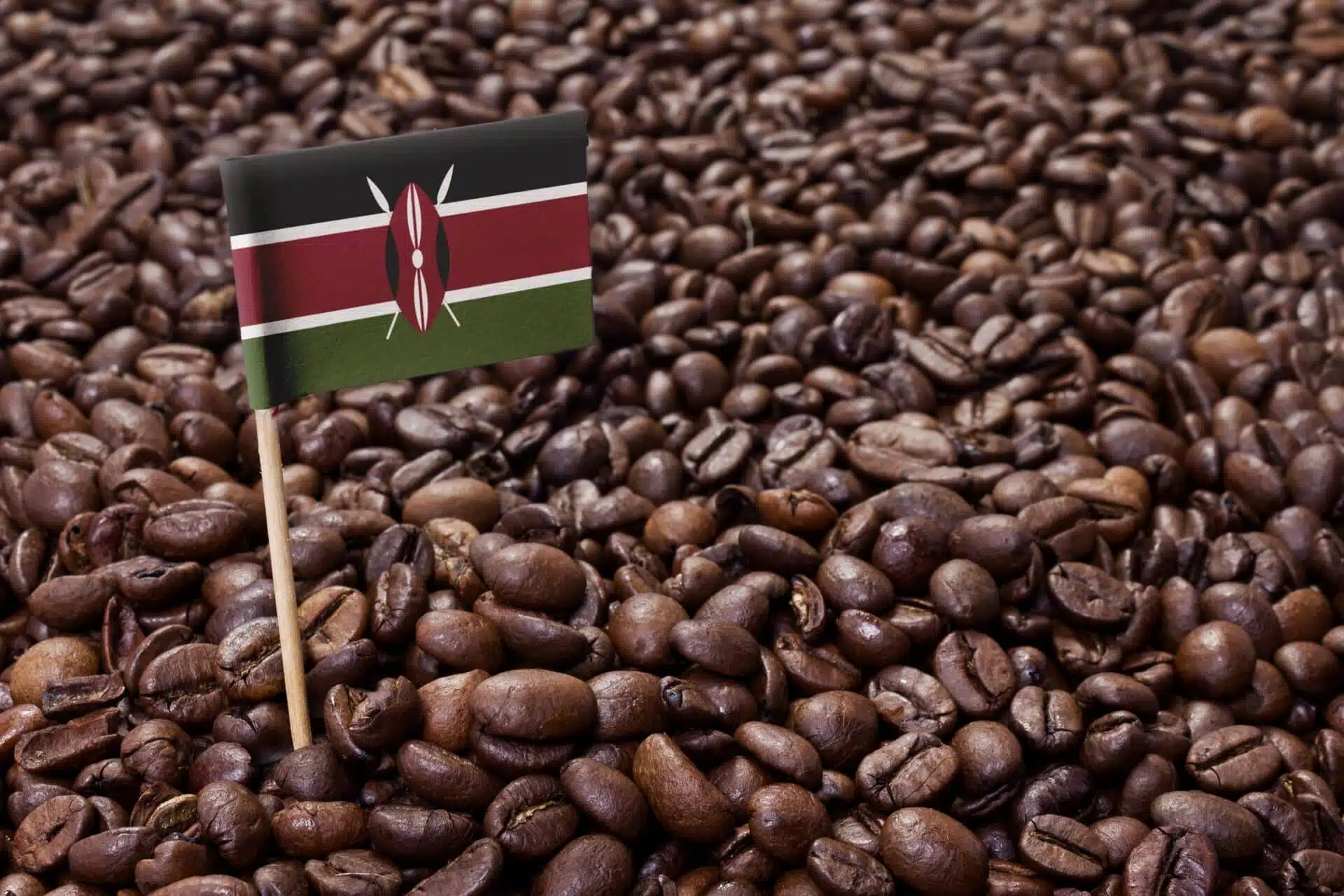 kenyan coffee