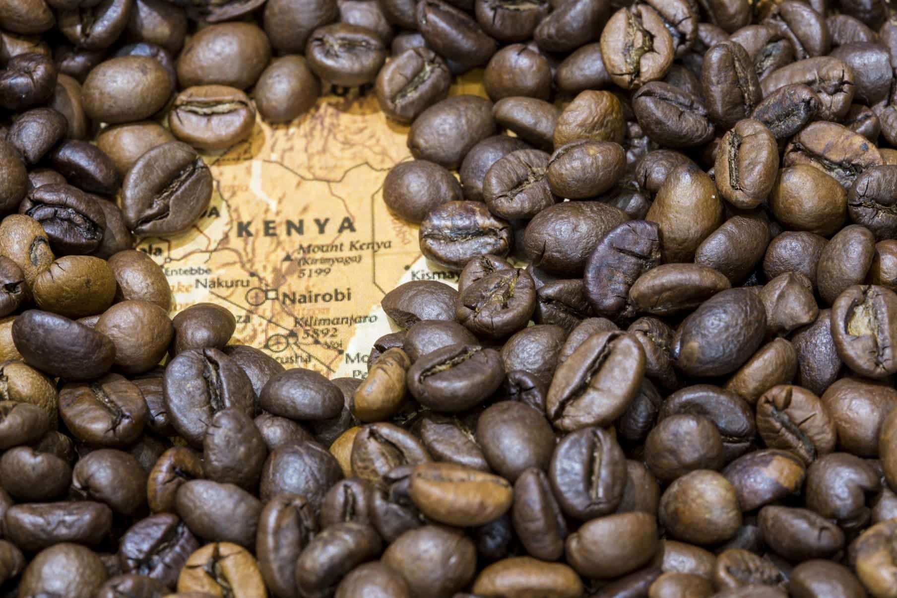 kenyan coffee