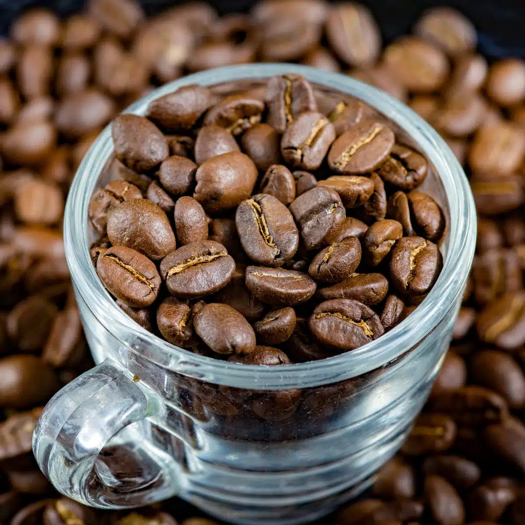 arabica coffee