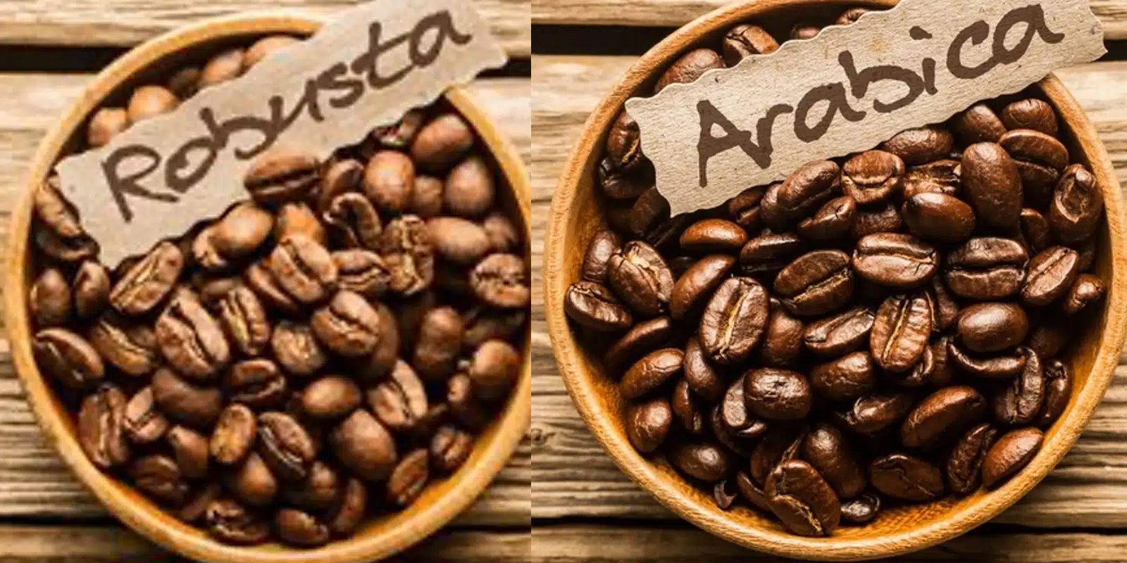 arabica coffee