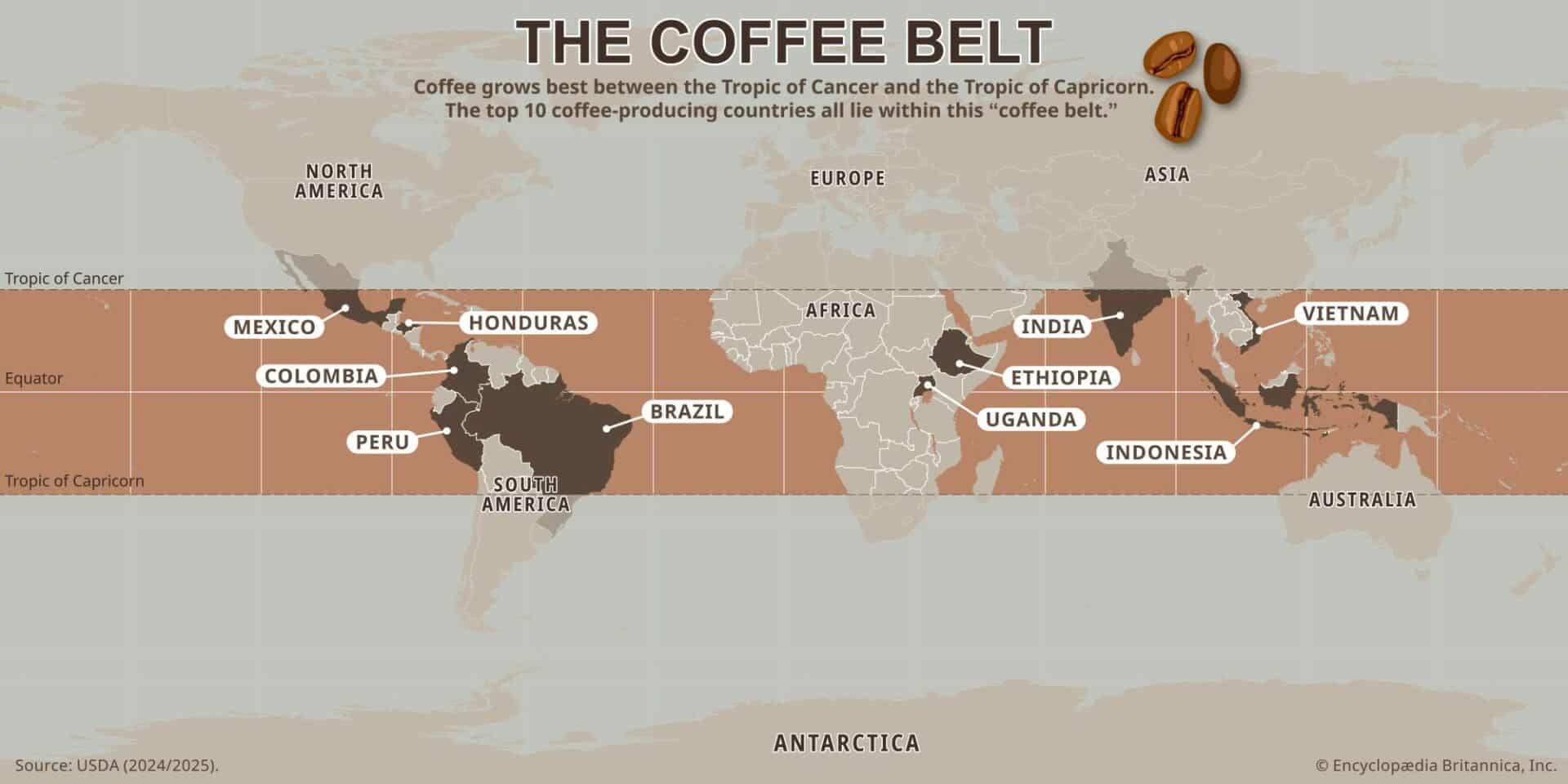 coffee producing
