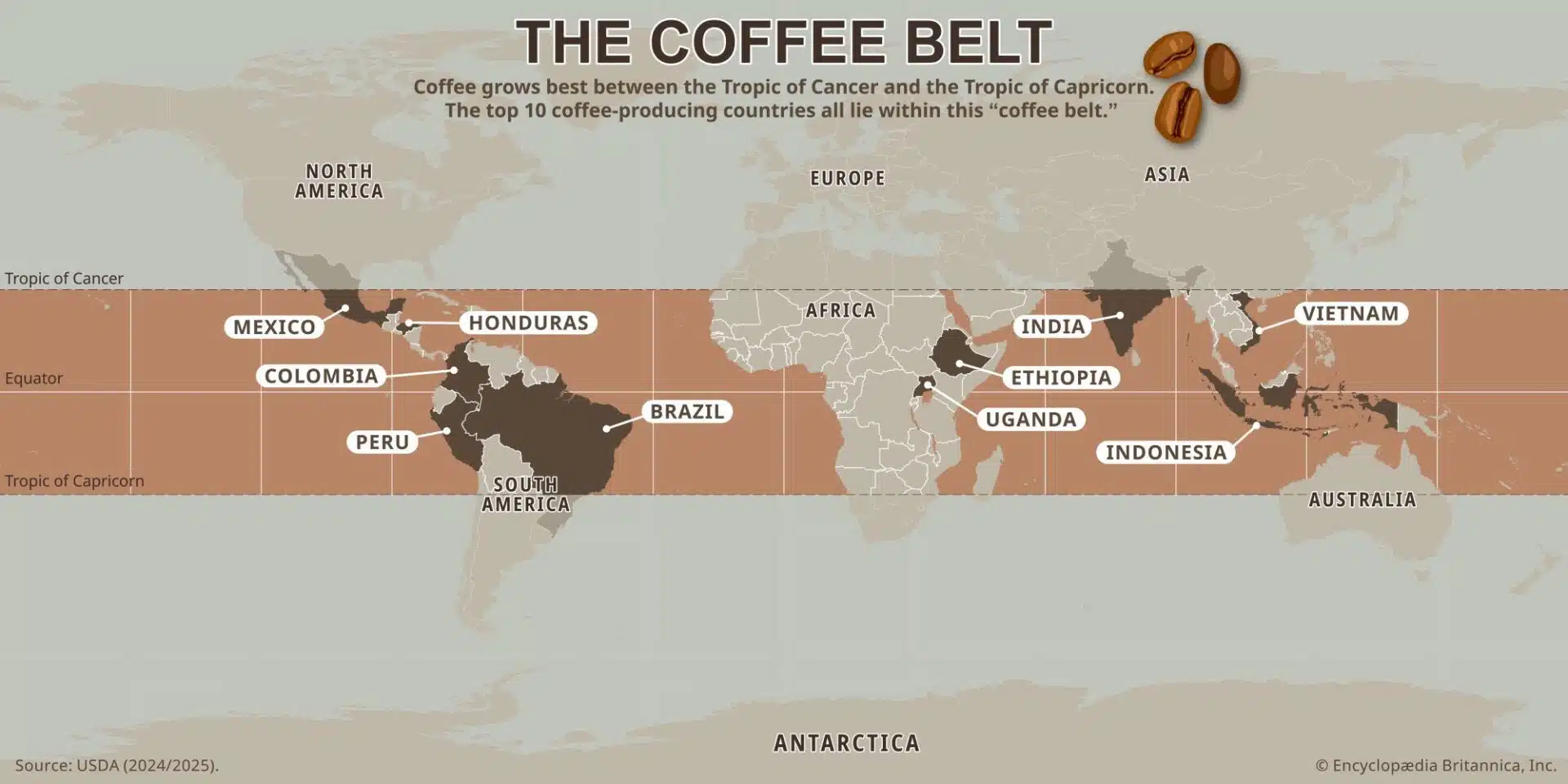 coffee producing