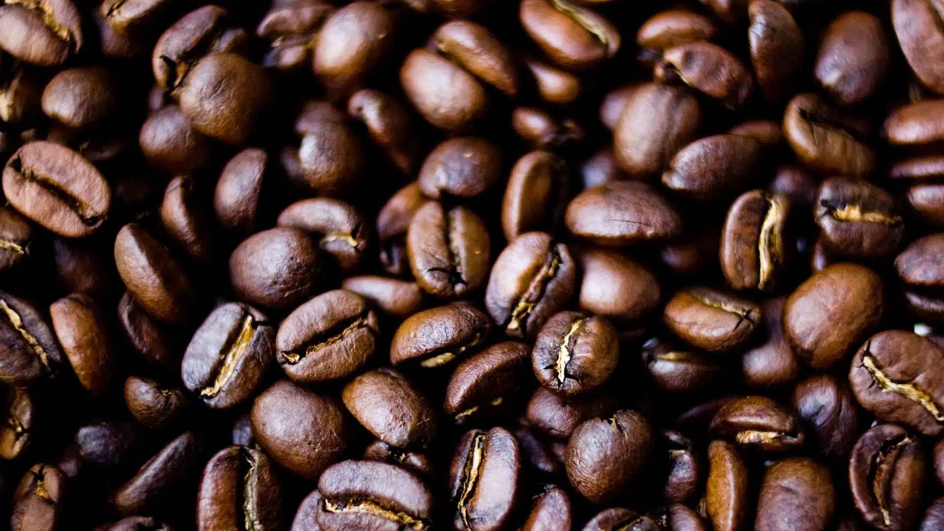 coffee beans