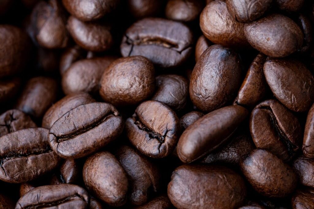 Close-up of dark roasted coffee beans with an oily surface